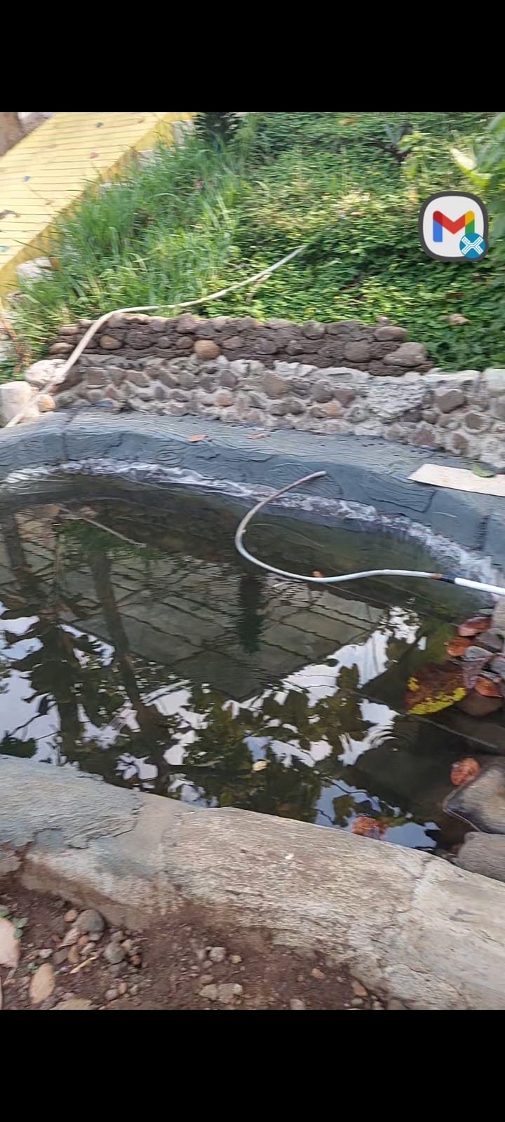 Kolam ikan terapi kesehatan